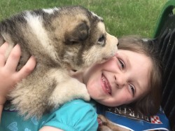 Kids and Alaskan malamute